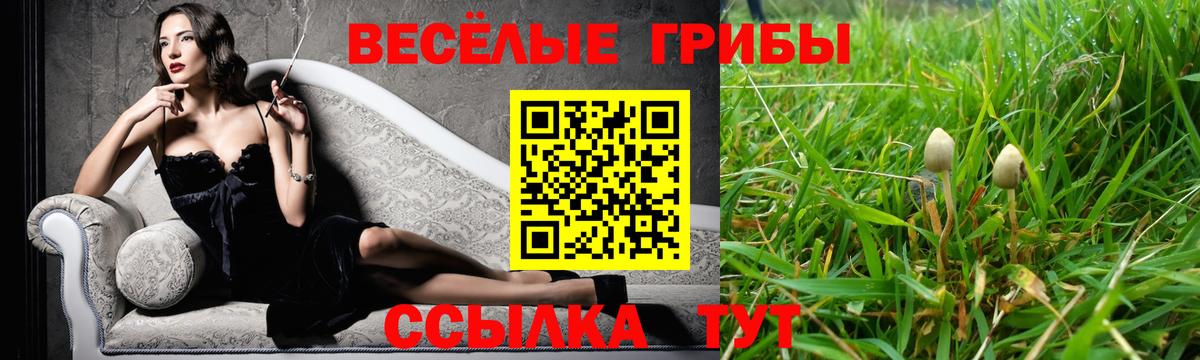 Ростов-на-Дону  Псилоцибиновые грибы ЛСД  Вход с VPN  Псилоцибиновые грибы MAGIC MUSHROOMS 